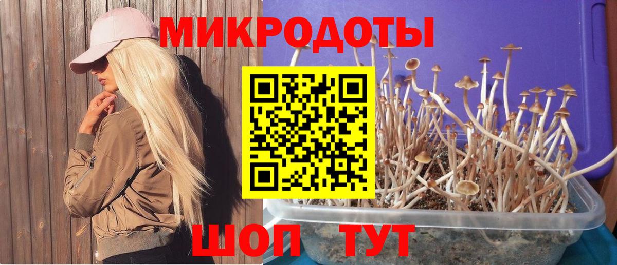 Галлюциногенные грибы Psilocybine cubensis  Вход с VPN  Галлюциногенные грибы мицелий  Верхняя Пышма 